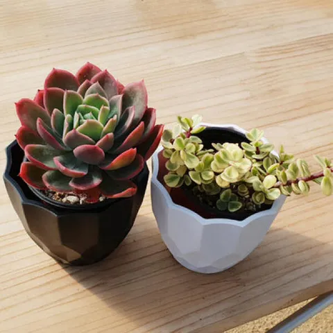 아트박스/진바스 모던한 화이트블랙 2종 다육화분(다육포함)