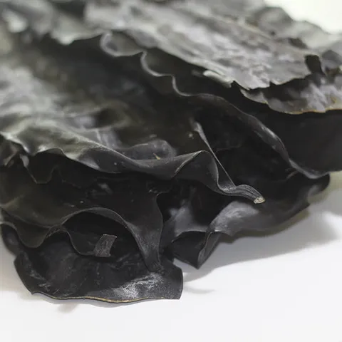 육수의 기본 완도 건다시마 500g