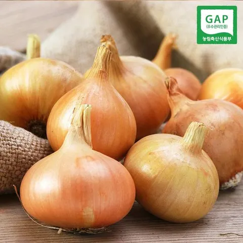 품질보장 국내산 무안 햇 양파 3kg (소)