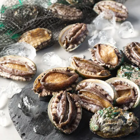 완도 활전복 대 8~11미 750g (마리당 70g내외)(E1411A)