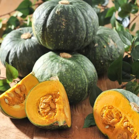 해남 햇 미니밤호박 4kg