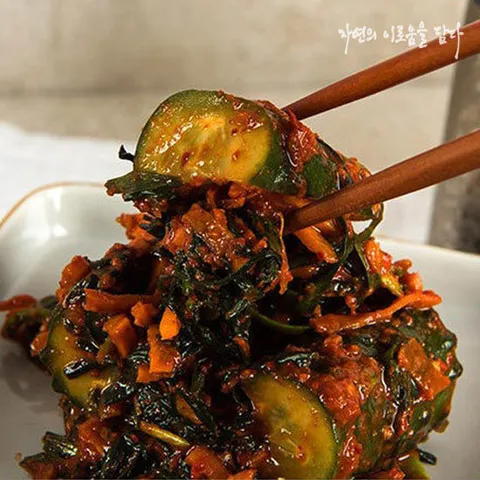 [자이담] 빛고을 오이소박이김치 3kg