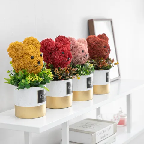 스칸디아모스 공기정화식물 화분 모스베어라인 set 25cm 4컬러 인테리어 천연 이끼