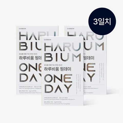 하루비움 원데이 3일 다이어트