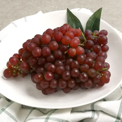 [빛과나무]빛가득 햇 데라웨어 포도 2kg(200g x 10팩)