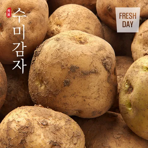 [산지직송] 포슬포슬 쫀득한 햇 수미감자 정품 10kg (40g~80g내외)