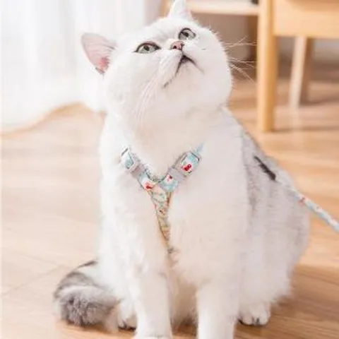 [펫츠랜드] 플로럴 H형 고양이 하네스 리드줄 세트_M
