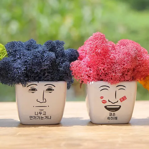 결혼축하 이모티콘 스칸디아모스화분 4종택1 -공기정화