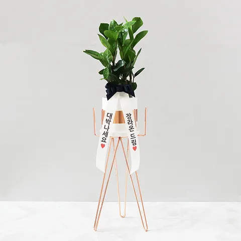 방콕 공기정화식물+화분스탠드(L)세트