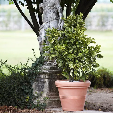 마이플랜트 PE 플라스틱 이태리 대형화분 니콜리 리시오 (중형)