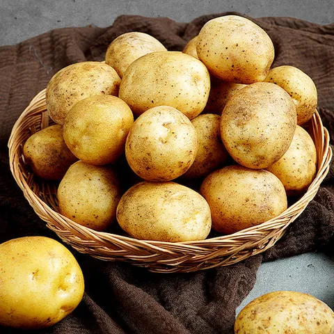 산세로 무농약 감자 5kg 80~150g