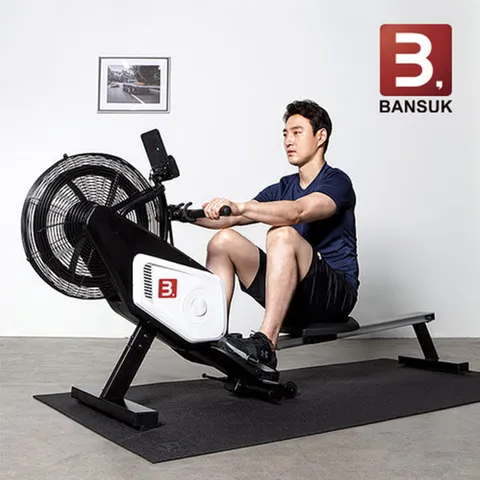 비에스 헬스용품 맥스 에어로잉머신