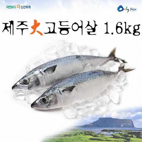 [이제주섬]맛있는 제주秋 고등어살(대)1.6kg(8~10팩)