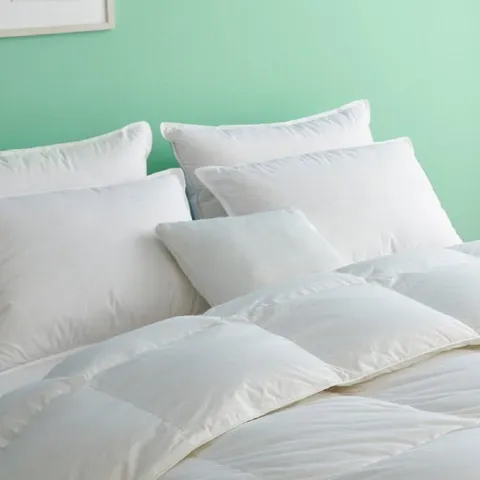 프라우덴 헝가리 구스베개솜700g/화이트베개커버 세트