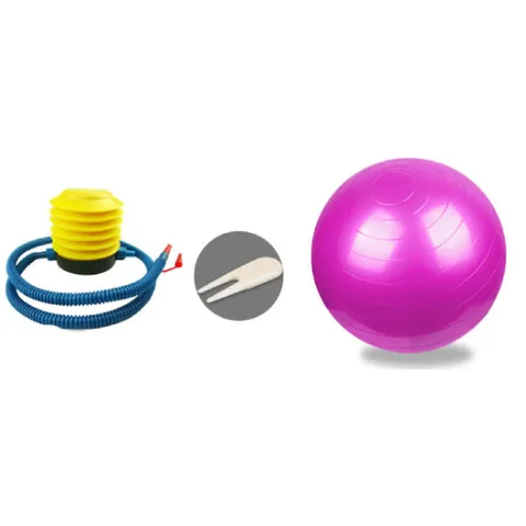 런웨이브 보급 마사지 짐볼 펌프 포함 세트 다이어트 실내