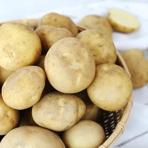 사시사철 맛좋은 우리땅 햇 감자(대) 5kg