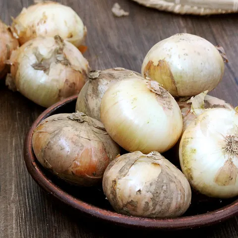 [산지직송] 단단한 황토 무안 햇 양파(대)5kg