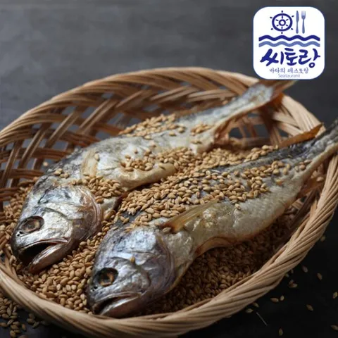 [씨토랑]법성포 해풍건조 부세보리굴비 특 10미/28~30cm