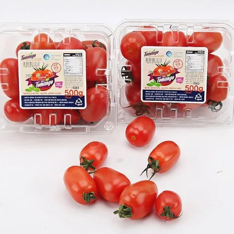 스테비아 대추방울토마토 1kg