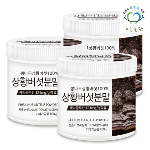 푸른들판 상황버섯 분말 100g 3개 뽕나무 진흙버섯 가루 차