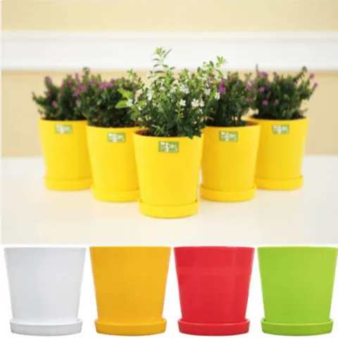 DAMDDA 베이직 미니 화분 받침대 포함 꽃 예쁜 소형 식물