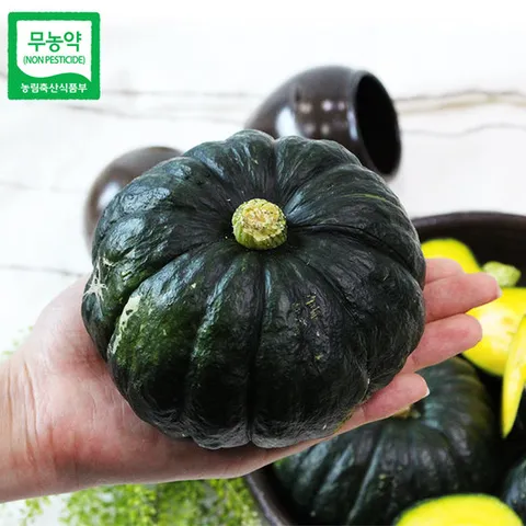 [산지직송] 함평 정대성님의 무농약 햇 미니단호박(밤호박) 4kg
