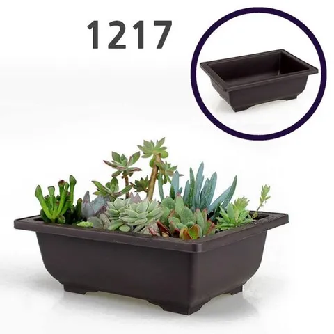 모던심플 다육이 미니사각 다크닉화분 - 1217