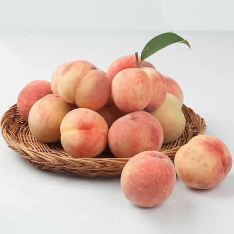 털복숭아 2kg 랜덤과