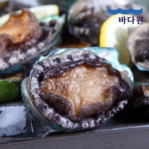 [바다원] 산지직송 완도 활전복 1kg (14-16미 내외)