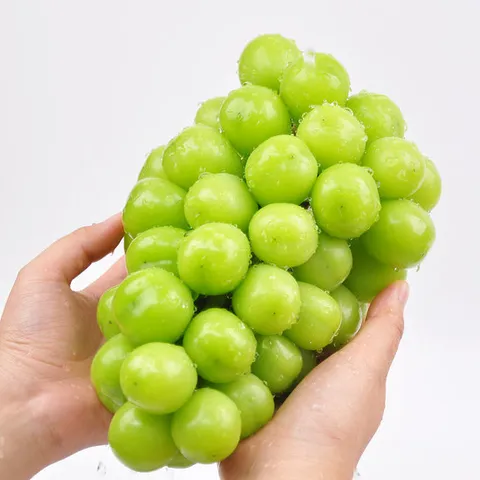 [푸르젠] 국내산 고당도 샤인머스켓 1kg (2수)