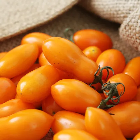 국내산 노랑 주황 대추방울토마토 3kg내외