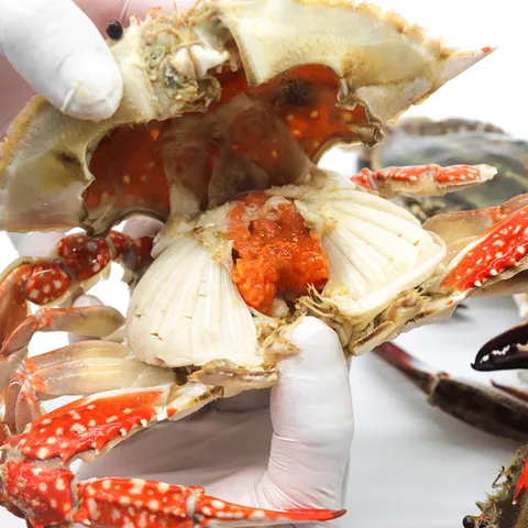 [통영수산물시장] 서해안 알배기 암꽃게(급냉) 2kg 12~16미