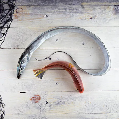 [ 롯데백화점 ]청정해제주은갈치왕특대 1마리+참옥돔특대1kg