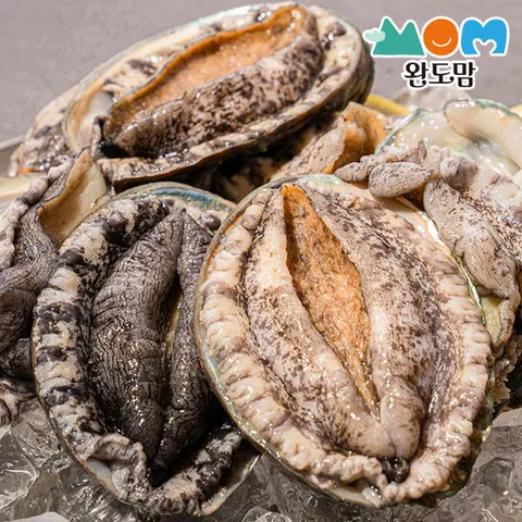 완도맘 완도 활 전복 1kg(13-15미)