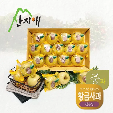 산지애 황금 사과 시나노골드 3kg