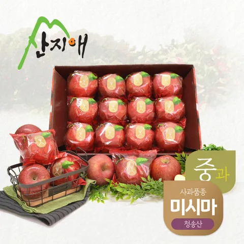 산지애 사과 2.7kg (11~13과)