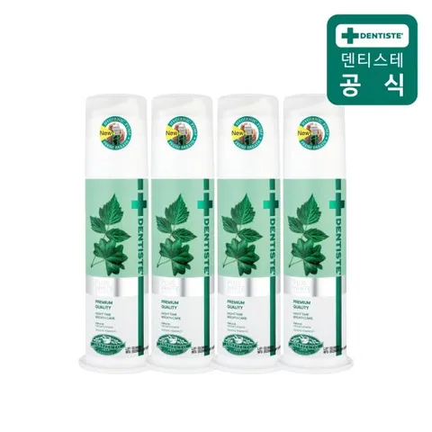 덴티스테 뉴플러스화이트 펌프 치약 170g 4개