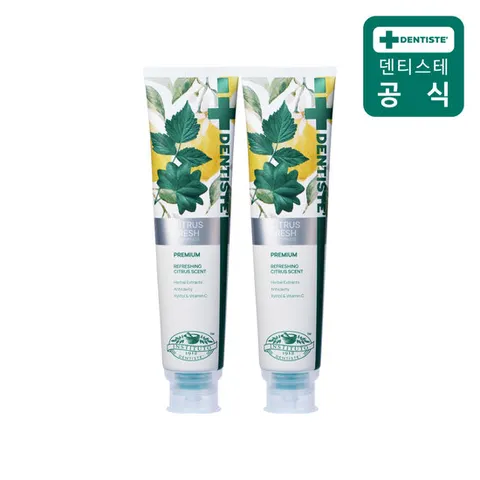 덴티스테 불소치약 시트러스 후레쉬 200g 2개