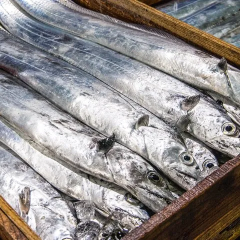 [엠픽] 담백한 흰속살의 국산 순살 갈치 2kg(250g*8팩)