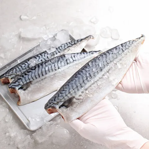 노르웨이 산지가공 고등어 왕특대 180-210g x 10팩
