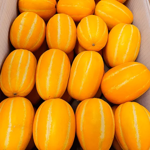 [자연의정] 성주 참외 고당도 정품 소과 10kg