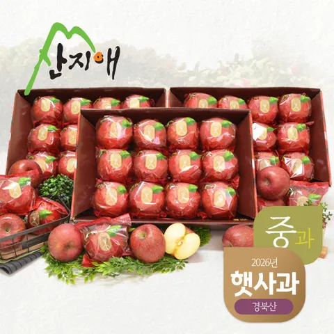 산지애 햇사과 8.1kg (2.7kg*3박스, 총 27~39과, 중과)