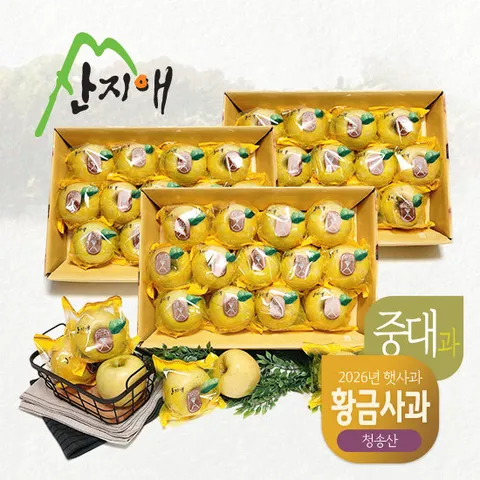 산지애 황금 사과 시나노골드 햇사과 9kg (3kg*3박스)