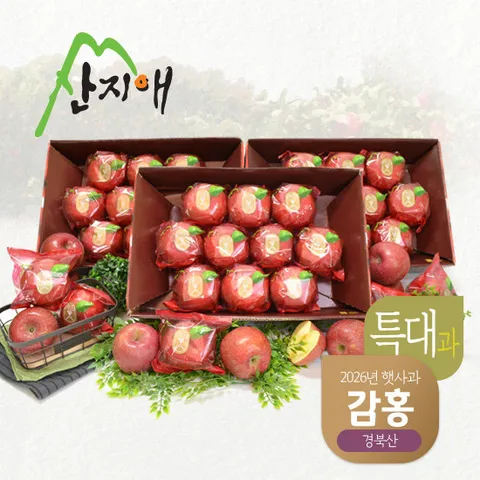산지애 햇사과 감홍 9kg (3kg*3박스, 총 24~30과)