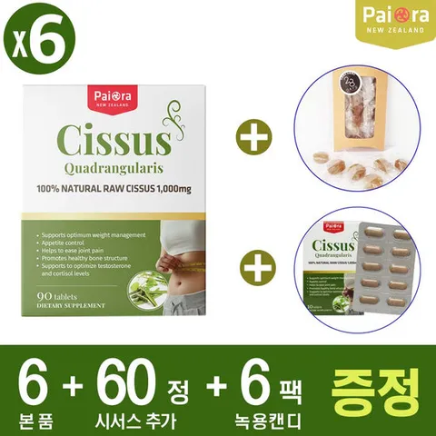 (6+6+6 이벤트) 인도산 시저스 원료 뉴질랜드 파이오라 시서스 1000mg 100정 x6박스