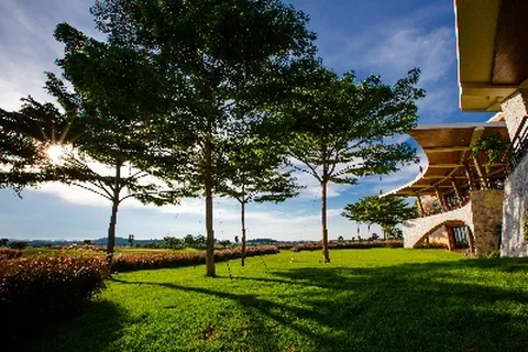 파타야 골프 5일 다색골프 54홀 시암CC 외 2곳 시내5성호텔 3 3 3 제주항공 인천출발