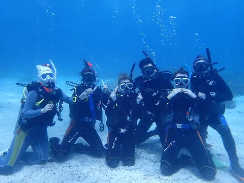 보홀 6일 돌핀베이 신규오픈 전신마사지 다이빙강습 알로나비치 보홀시티투어 특식3회 에어부산 부산출발