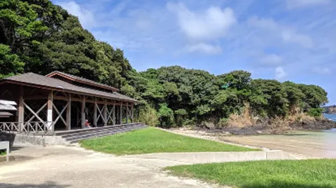 [4명이상출발확정] 대마도 2일 씨플라워호 오후출발-오후리턴 도요코인이즈하라 BBQ특식 특전_슈시강산책 노천온천체험 씨플라워 부산출발