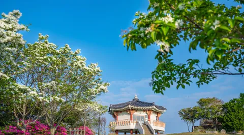 대마도 2일 노바호 바람의언덕 센뵤마키야마전망대 등반 관광 온천욕 특전_휴족시간(1인1제공) 노바 부산출발