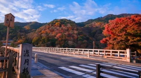 [진에어단독/추석특집] 오사카/고베 3일 오사카최다판매상품 하루는자유롭게 1일자유일정함 감성일상여행 고베핵심투어 간사이알짜일정 진에어 부산출발